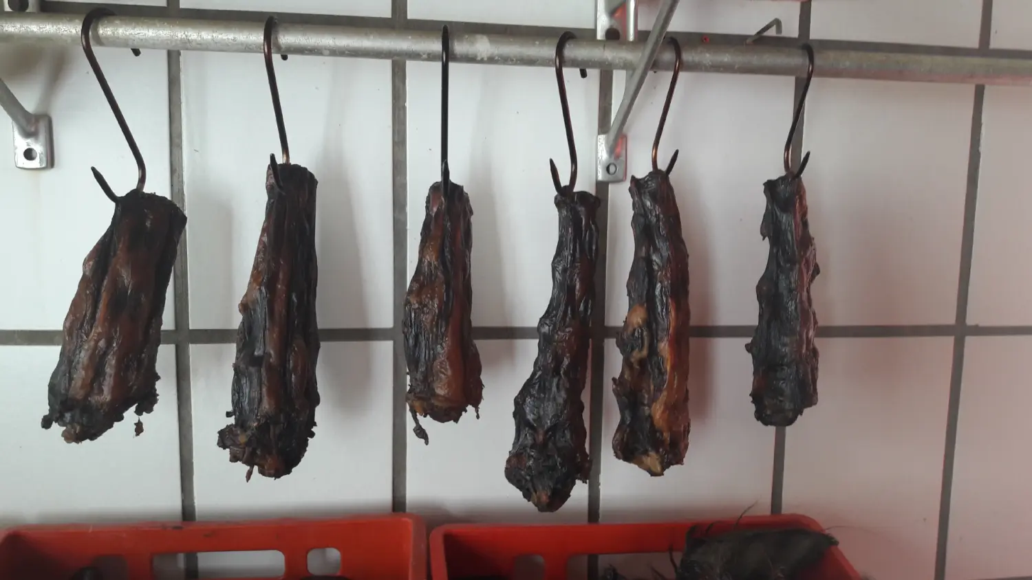 Schweinefleisch von Scheidhauer s Hundeglück 