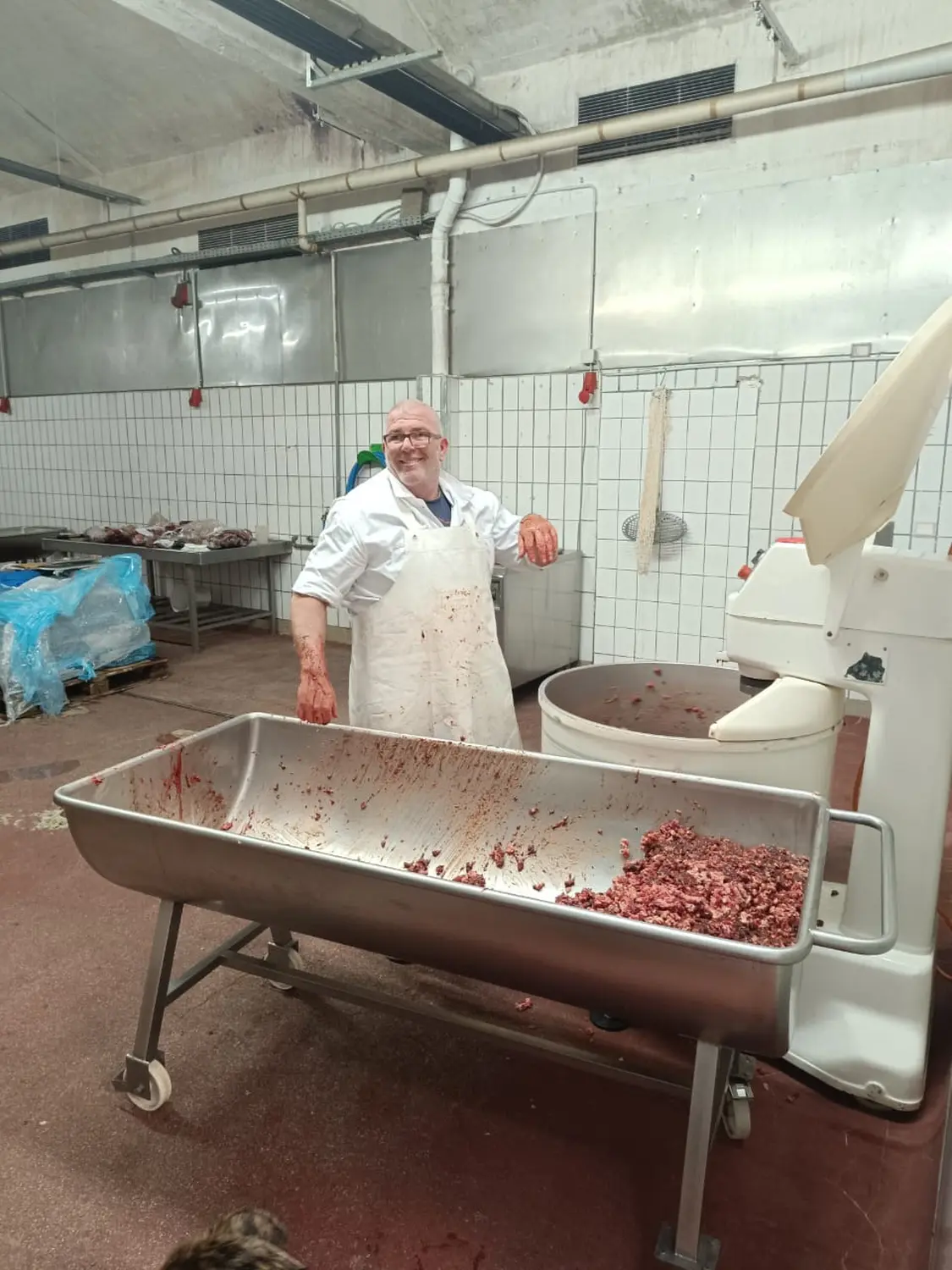 Fleisch von Scheidhauer s Hundeglück 