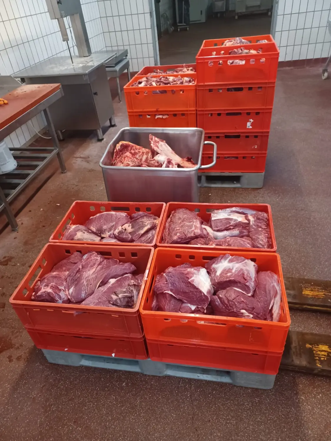 Fleisch von Scheidhauer s Hundeglück 
