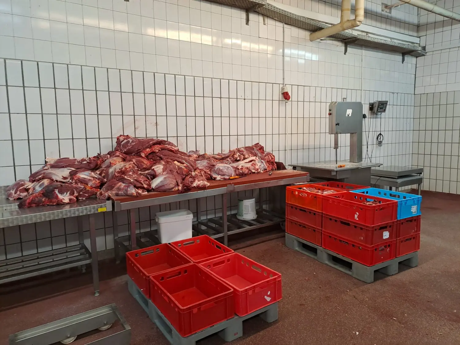 Fleisch von Scheidhauer s Hundeglück 